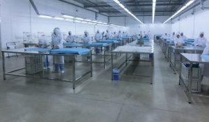 Produktion Marokko